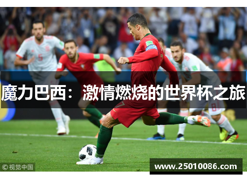 魔力巴西：激情燃烧的世界杯之旅