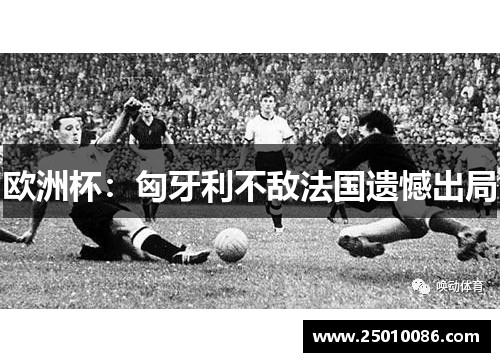 欧洲杯：匈牙利不敌法国遗憾出局