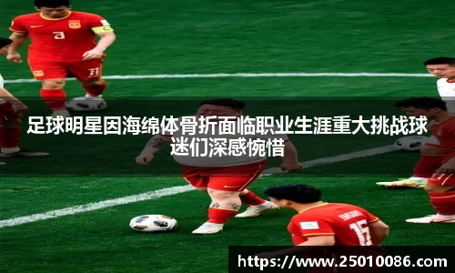 必一运动bsport体育