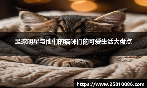 必一运动bsport体育